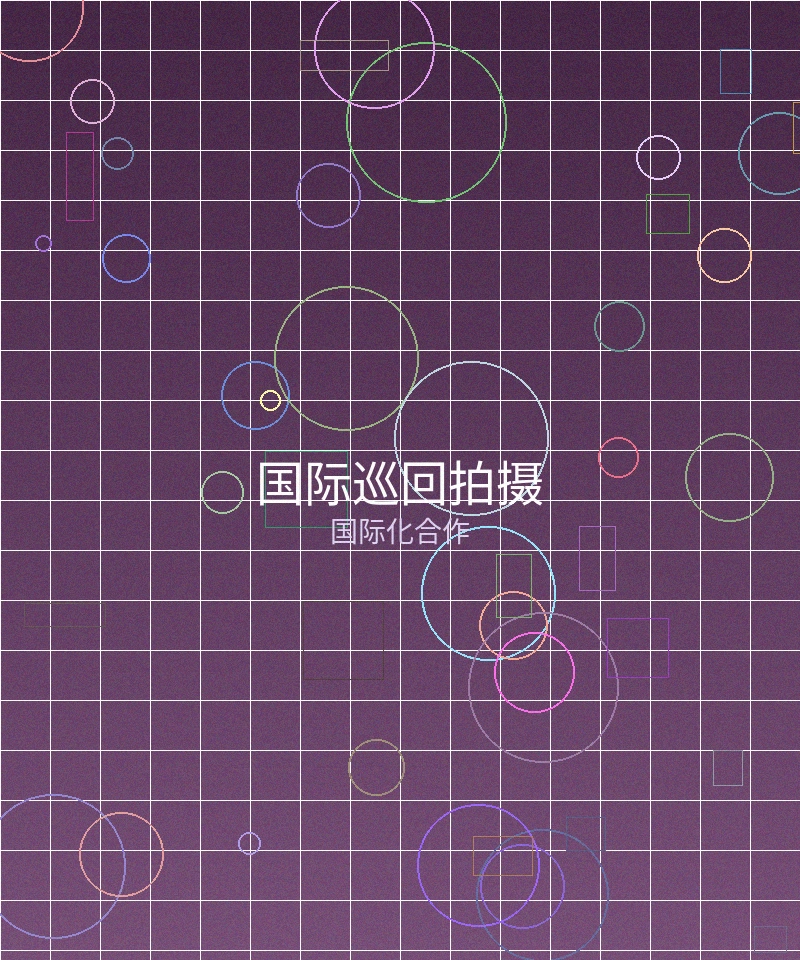 跨国合作项目宣传照